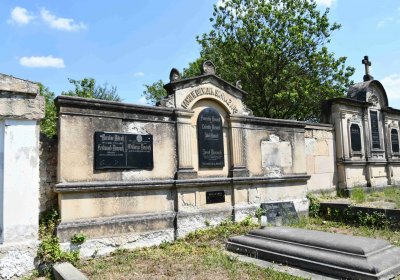 Světec, Omnium, 2018