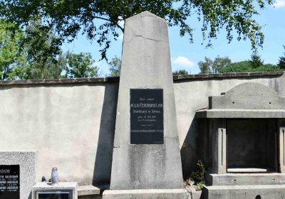 Světec, Omnium, 2018