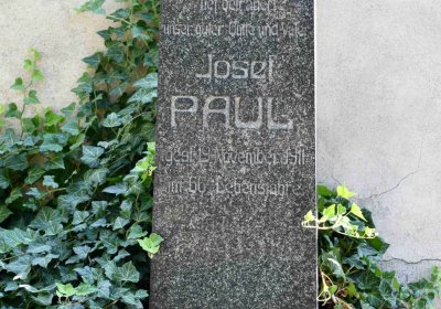 Světec, Omnium, 2018