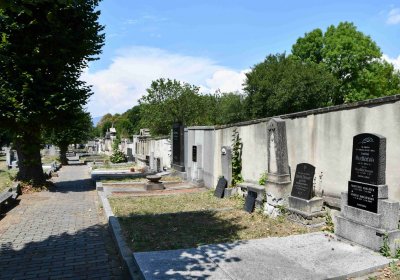 Světec, Omnium, 2018