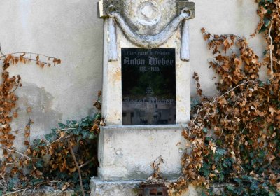 Světec, Omnium, 2018