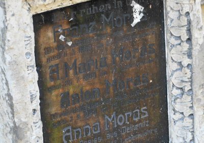 Světec, Omnium, 2018