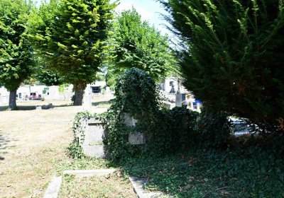 Světec, Omnium, 2018