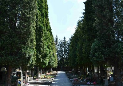 Světec, Omnium, 2018