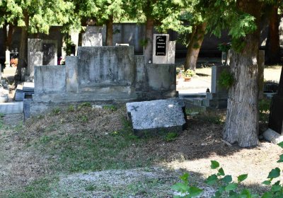 Světec, Omnium, 2018