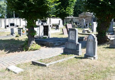 Světec, Omnium, 2018