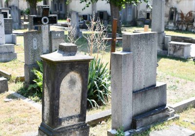 Světec, Omnium, 2018