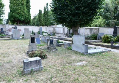 Světec, Omnium, 2018