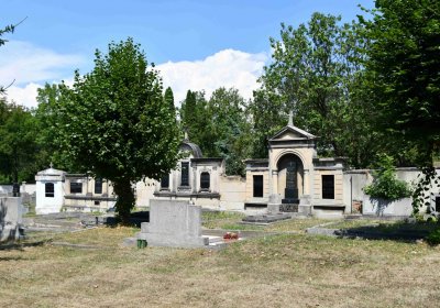 Světec, Omnium, 2018