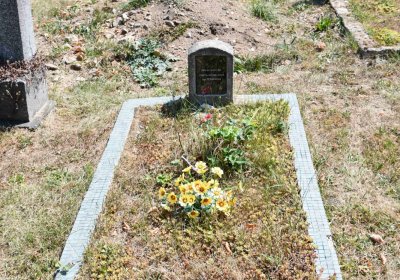 Světec, Omnium, 2018