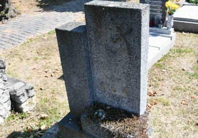 Světec, Omnium, 2018