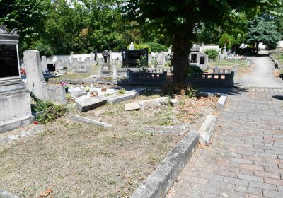 Světec, Omnium, 2018