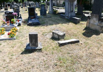 Světec, Omnium, 2018