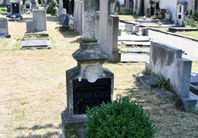 Světec, Omnium, 2018