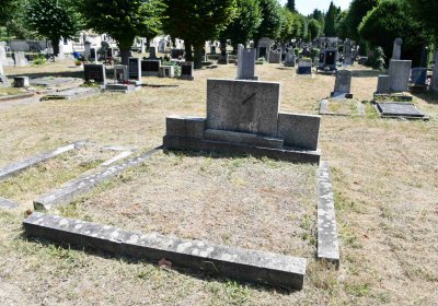 Světec, Omnium, 2018