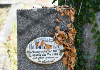 Světec, Omnium, 2018