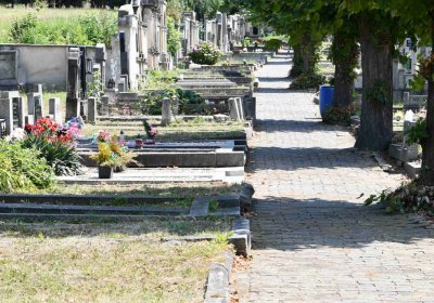 Světec, Omnium, 2018