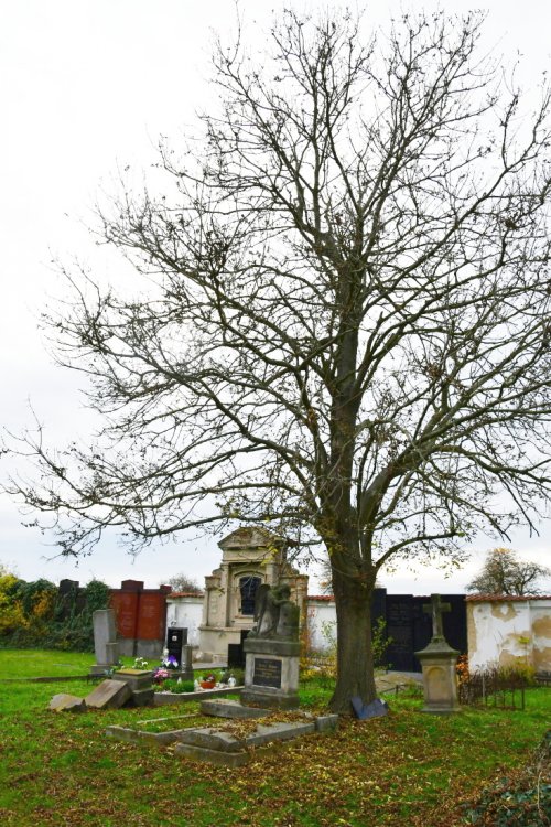Výškov