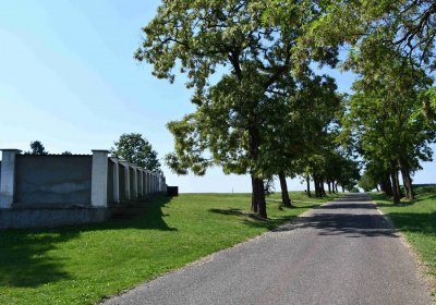 Výškov, Omnium, 2018