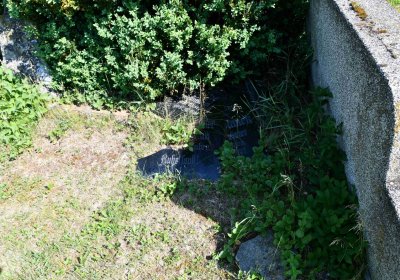 Výškov, Omnium, 2018