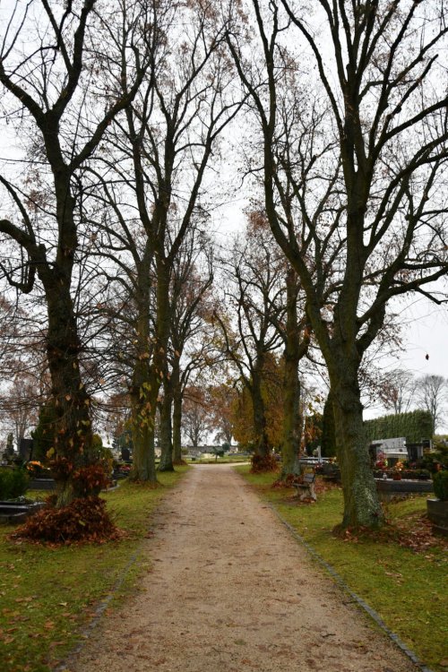 Tachov