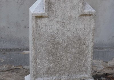 Omnium, 2019