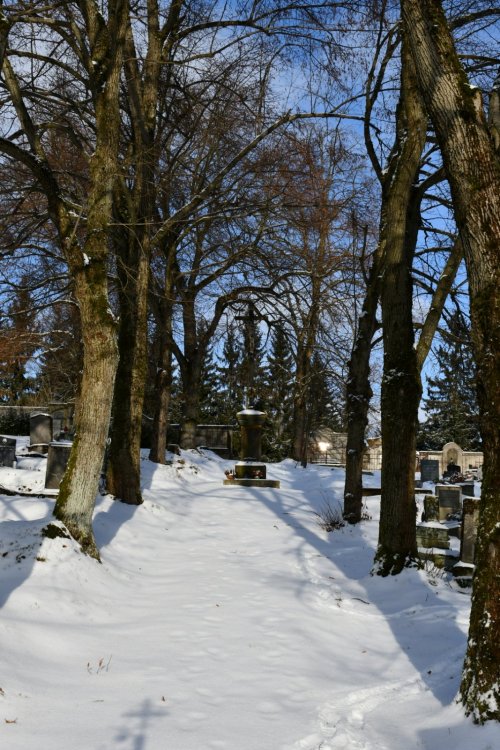 Horní Maxov