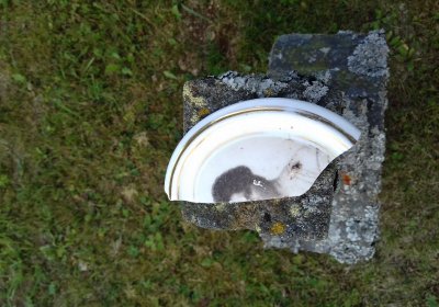 Kmínek Michal, 2019