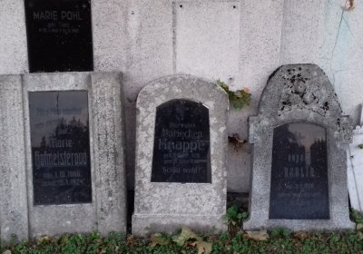 Kmínek Michal, 2019