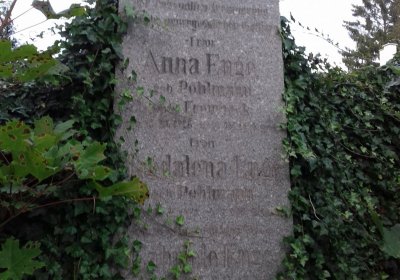 Kmínek Michal, 2019