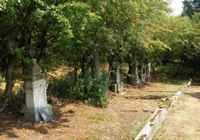 Kmínek Michal, 2019