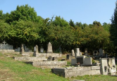 Kmínek Michal, 2019