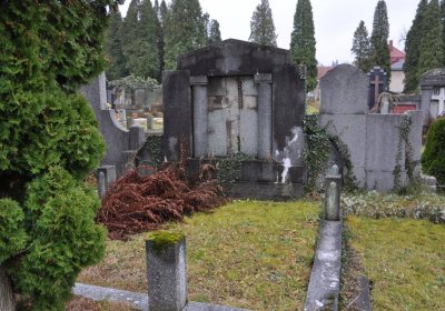 O.N., 2021