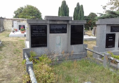 Kmínek Michal, 2018