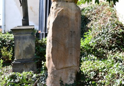 Skupice, Omnium, 2020