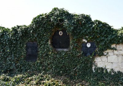 Skupice, Omnium, 2020