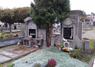 Kmínek Michal, 2019