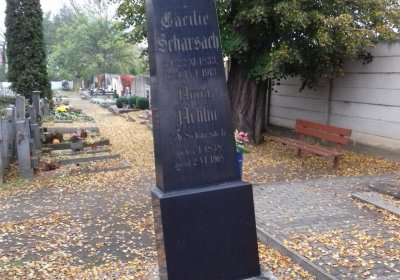 Kmínek Michal, 2019