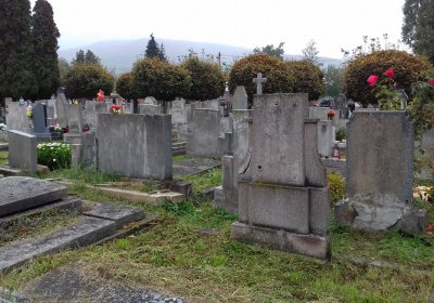 Kmínek Michal, 2019