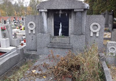 Kmínek Michal, 2019