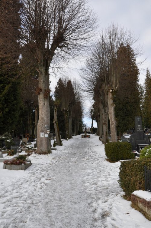 Zlatá Olešnice