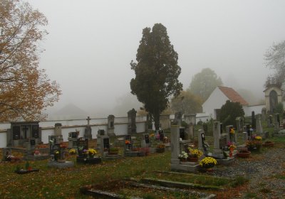 Kmínek Michal, 2019