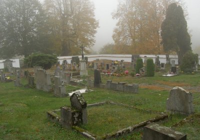 Kmínek Michal, 2019