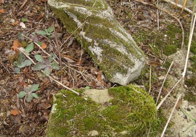 Kmínek Michal, 2019