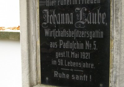 Kmínek Michal, 2019