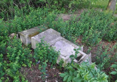 Zaniklá část hřbitova, Větrovská Barbora, 2016