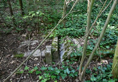 Horní Beřkovice, Omnium, 2020