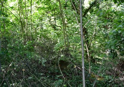 Horní Beřkovice, Omnium, 2020