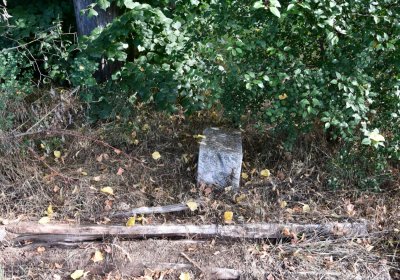 Horní Beřkovice, Omnium, 2020