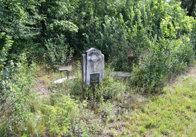 Horní Beřkovice, Omnium, 2020